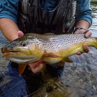 Fly Fishing