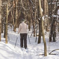 Cross Country Skiing