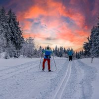 Cross Country Skiing